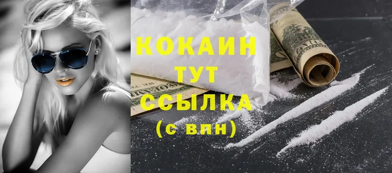 Cocaine FishScale  купить наркоту  Покров 